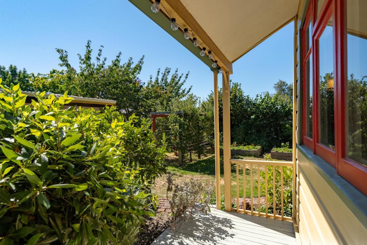 Shy Cottage And Studio Greytown Luaran gambar