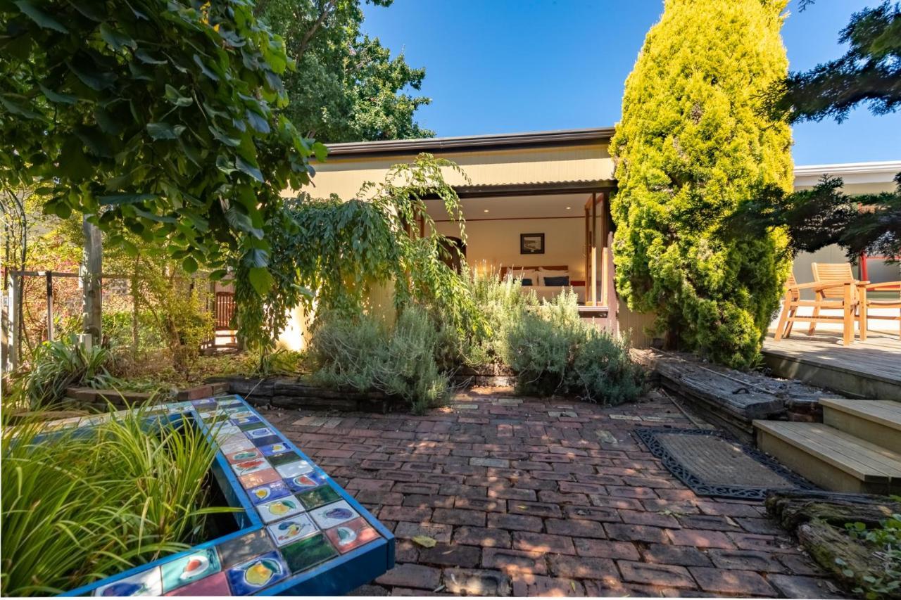 Shy Cottage And Studio Greytown Luaran gambar