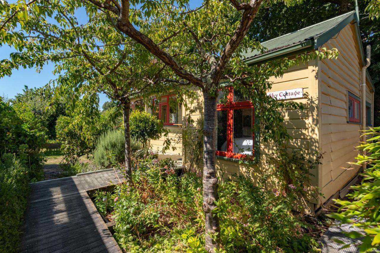 Shy Cottage And Studio Greytown Luaran gambar