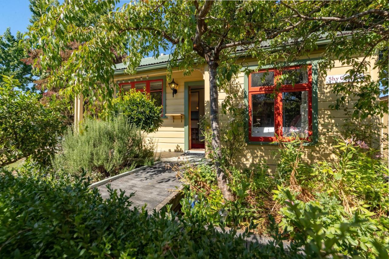 Shy Cottage And Studio Greytown Luaran gambar