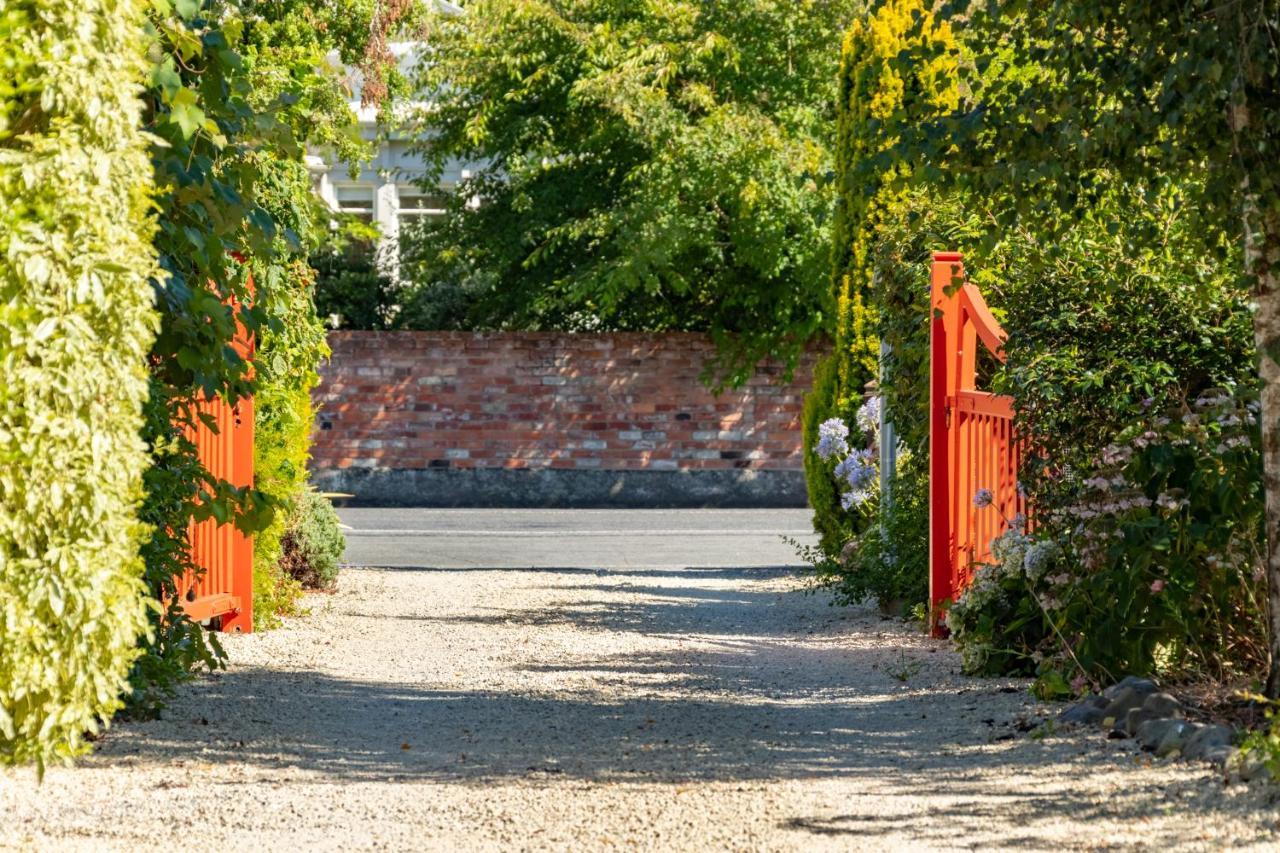 Shy Cottage And Studio Greytown Luaran gambar