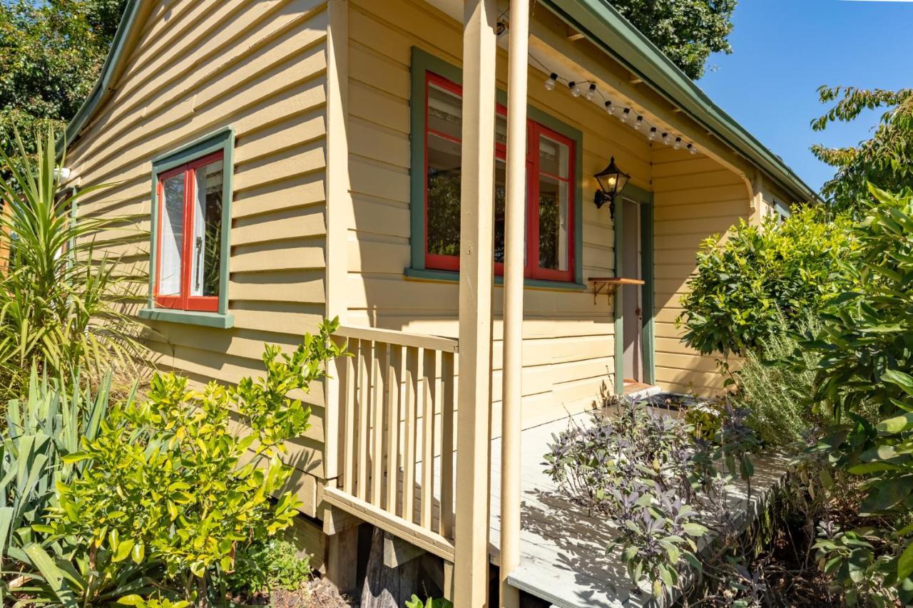 Shy Cottage And Studio Greytown Luaran gambar