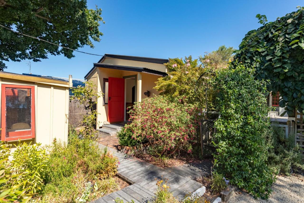 Shy Cottage And Studio Greytown Luaran gambar